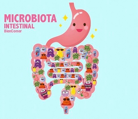 microbiota (Copiar)