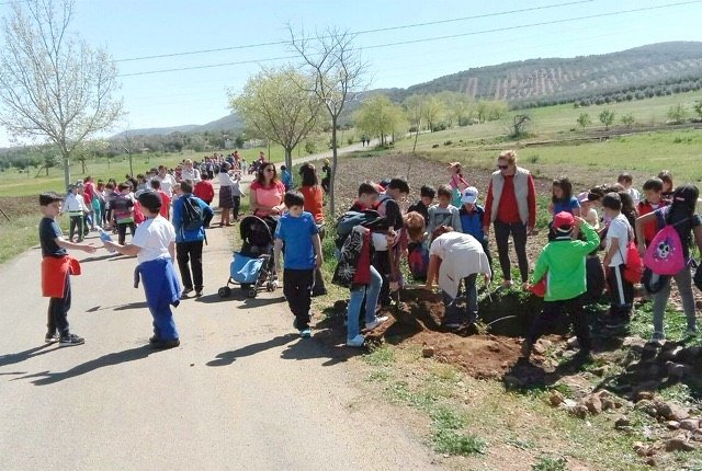 Escolares, profesorado y padres realizaron la plantación en el camino de 'Huerta Cuéllar'_AdValdepeñas